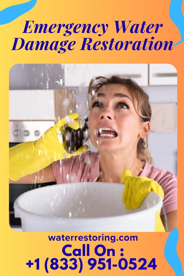 Emergency Water Damage Restoration in Norway, IA