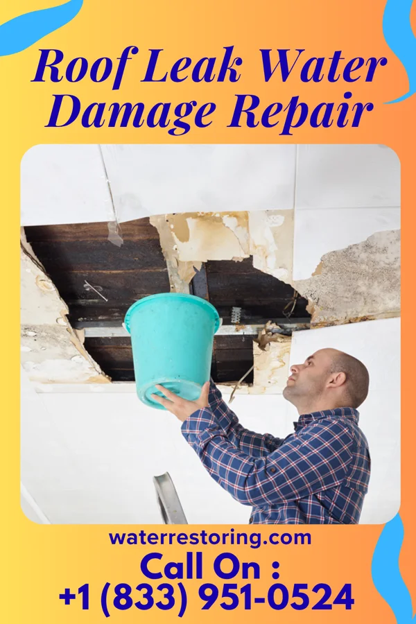 Roof Leak Water Damage Repair in Norway, IA
